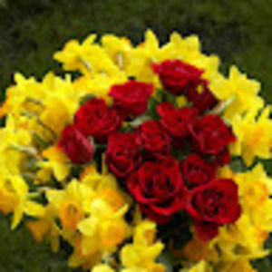 Meet your Posher, Maha